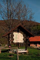Planina 4